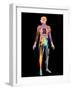 Body Imaging-Mehau Kulyk-Framed Photographic Print