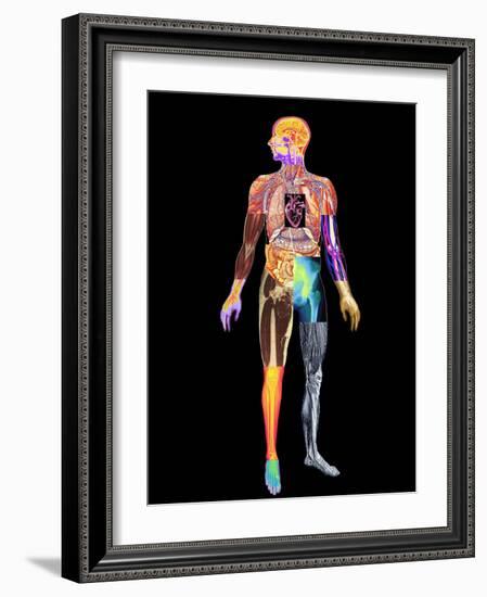 Body Imaging-Mehau Kulyk-Framed Photographic Print