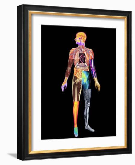 Body Imaging-Mehau Kulyk-Framed Photographic Print