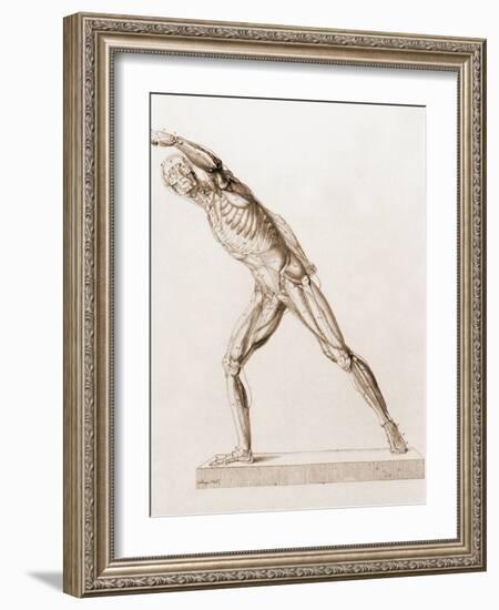 Body Musculature-Mehau Kulyk-Framed Photographic Print