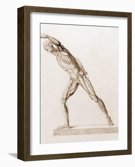 Body Musculature-Mehau Kulyk-Framed Photographic Print