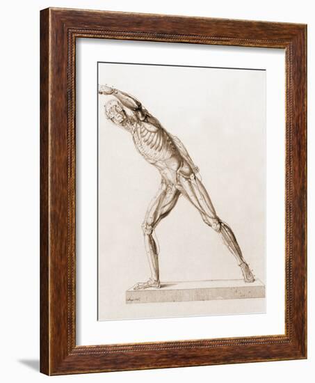 Body Musculature-Mehau Kulyk-Framed Photographic Print