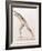 Body Musculature-Mehau Kulyk-Framed Photographic Print