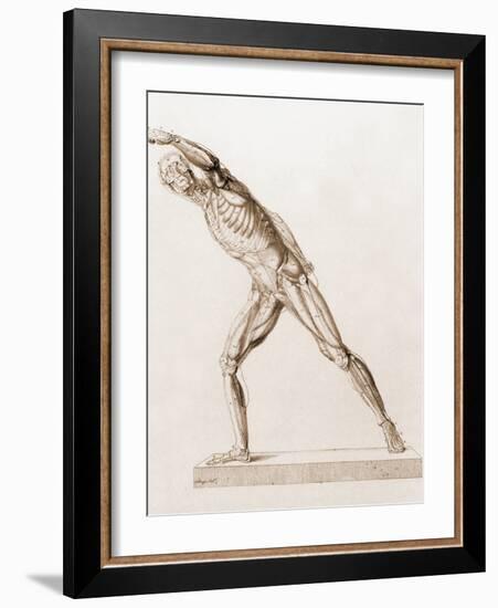 Body Musculature-Mehau Kulyk-Framed Photographic Print