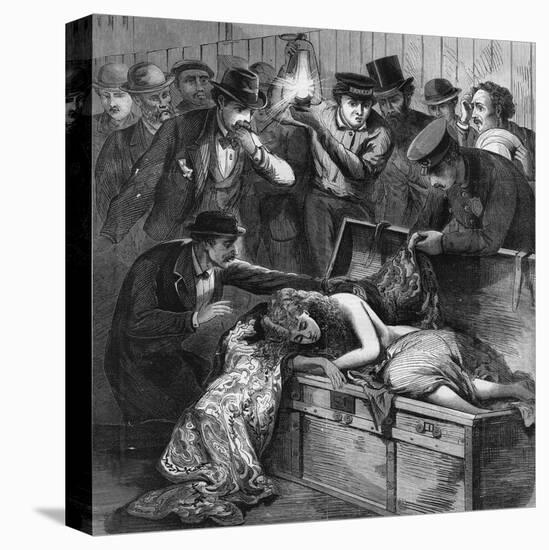 Stretched Canvas Print, , large