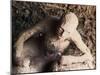 Body of Man Petrified by Ash from Eruption of Vesuvius in 79 AD, Pompeii, Italy-null-Mounted Photographic Print