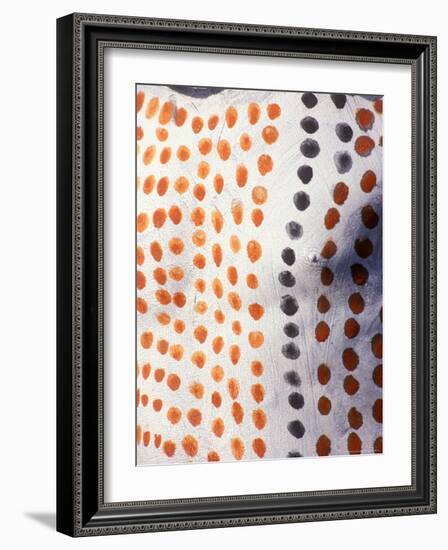 Body Paint on Karo Warrior, Ethiopia-Janis Miglavs-Framed Photographic Print