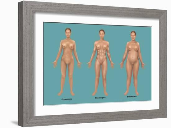 Body Types-Gwen Shockey-Framed Giclee Print