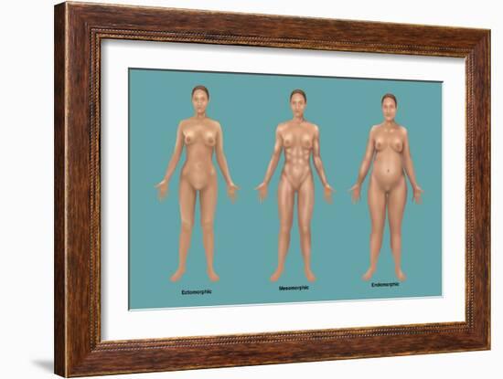 Body Types-Gwen Shockey-Framed Giclee Print