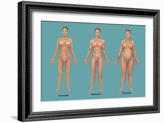 Body Types-Gwen Shockey-Framed Giclee Print