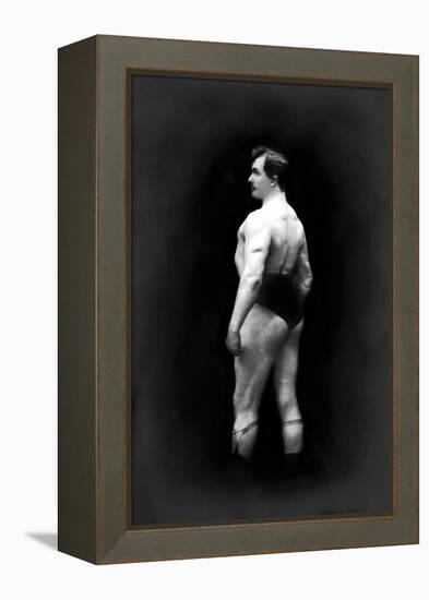 Bodybuilder's Back and Partial Left Profile-null-Framed Stretched Canvas