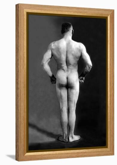 Bodybuilder's Back-null-Framed Stretched Canvas