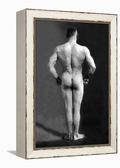 Bodybuilder's Back-null-Framed Stretched Canvas