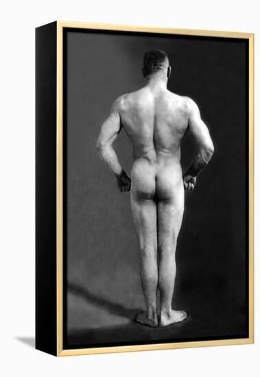 Bodybuilder's Back-null-Framed Stretched Canvas