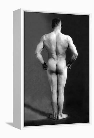 Bodybuilder's Back-null-Framed Stretched Canvas