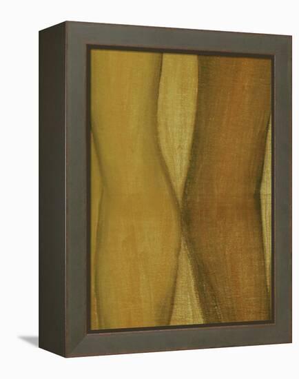 Bodykiss 7-Kenny Primmer-Framed Stretched Canvas