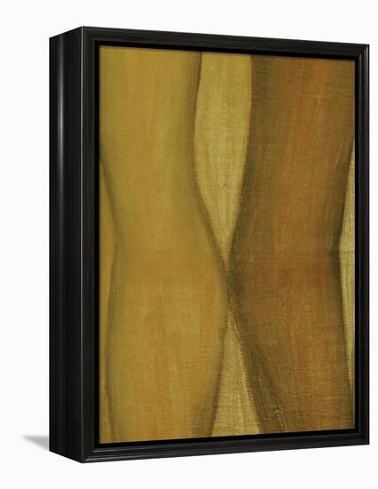 Bodykiss 7-Kenny Primmer-Framed Stretched Canvas