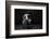 Bodyscape-Anton Belovodchenko-Framed Photographic Print