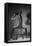 Bodyscape-Anton Belovodchenko-Framed Premier Image Canvas