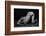 Bodyscape-Anton Belovodchenko-Framed Photographic Print