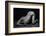 Bodyscape-Anton Belovodchenko-Framed Photographic Print