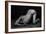 Bodyscape-Anton Belovodchenko-Framed Photographic Print