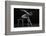 Bodyscape-Anton Belovodchenko-Framed Photographic Print