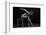 Bodyscape-Anton Belovodchenko-Framed Photographic Print