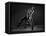 Bodyscape-Anton Belovodchenko-Framed Premier Image Canvas