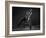 Bodyscape-Anton Belovodchenko-Framed Photographic Print