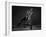 Bodyscape-Anton Belovodchenko-Framed Photographic Print