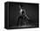 Bodyscape-Anton Belovodchenko-Framed Premier Image Canvas