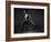 Bodyscape-Anton Belovodchenko-Framed Photographic Print