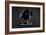 Bodyscape-Anton Belovodchenko-Framed Photographic Print