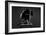 Bodyscape-Anton Belovodchenko-Framed Photographic Print