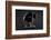 Bodyscape-Anton Belovodchenko-Framed Photographic Print