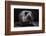 bodyscape-Anton Belovodchenko-Framed Photographic Print