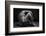 bodyscape-Anton Belovodchenko-Framed Photographic Print