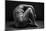bodyscape-Anton Belovodchenko-Mounted Photographic Print