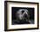 bodyscape-Anton Belovodchenko-Framed Photographic Print