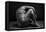 bodyscape-Anton Belovodchenko-Framed Premier Image Canvas