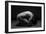 Bodyscape-Anton Belovodchenko-Framed Giclee Print