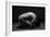 Bodyscape-Anton Belovodchenko-Framed Giclee Print