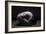 Bodyscape-Anton Belovodchenko-Framed Giclee Print