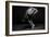 Bodyscape-Anton Belovodchenko-Framed Giclee Print