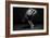 Bodyscape-Anton Belovodchenko-Framed Giclee Print