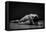 Bodyscape-Anton Belovodchenko-Framed Premier Image Canvas