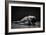 Bodyscape-Anton Belovodchenko-Framed Giclee Print