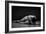 Bodyscape-Anton Belovodchenko-Framed Giclee Print