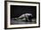 Bodyscape-Anton Belovodchenko-Framed Giclee Print